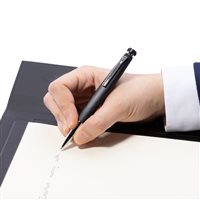 Stylo Festina in Métal FWS4101/A - FWS4101/A